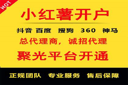 XX行业竞价广告的投放策略与效果分析